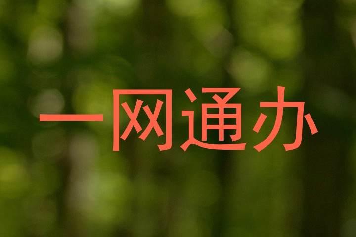 一网通办