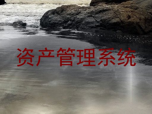 资产管理系统