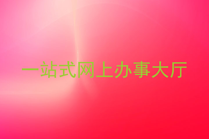 一站式网上办事大厅