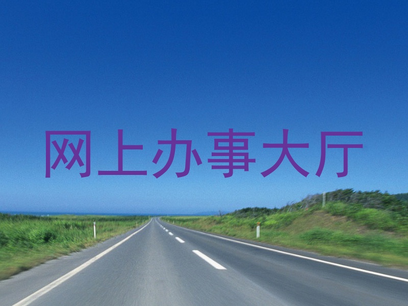 网上办事大厅
