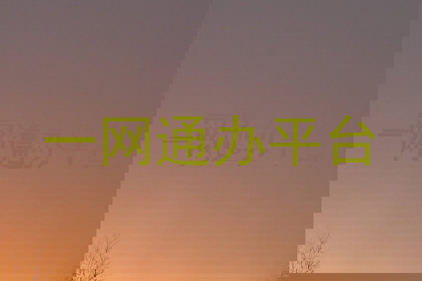 一网通办平台