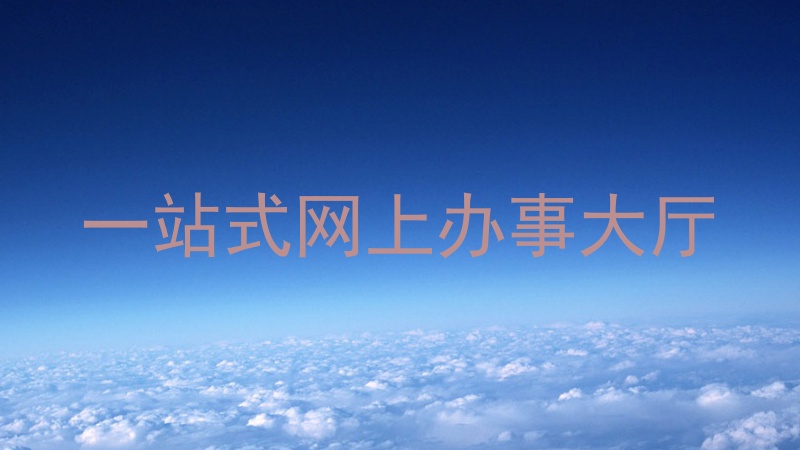 一站式网上办事大厅