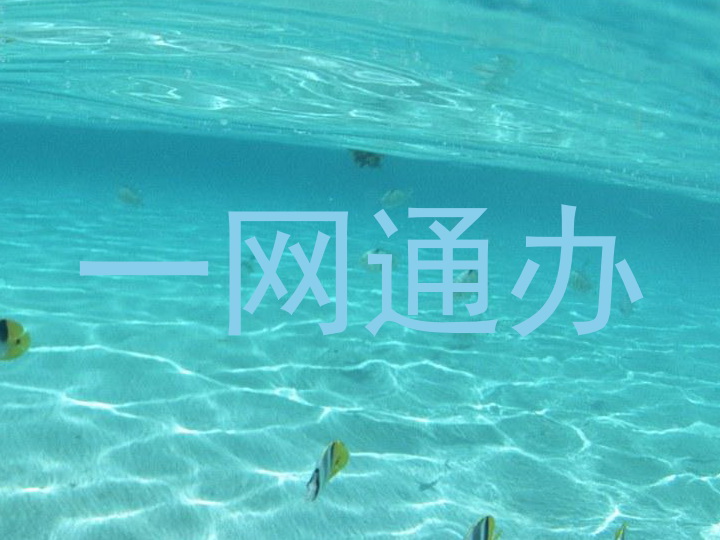 一网通办