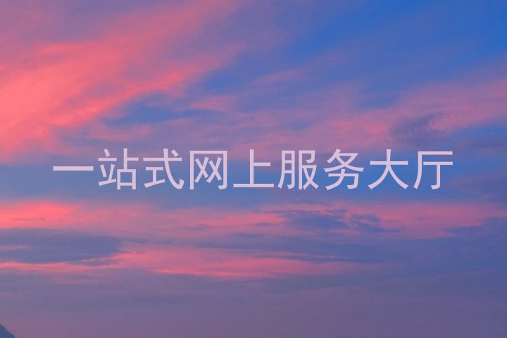 一站式网上服务大厅