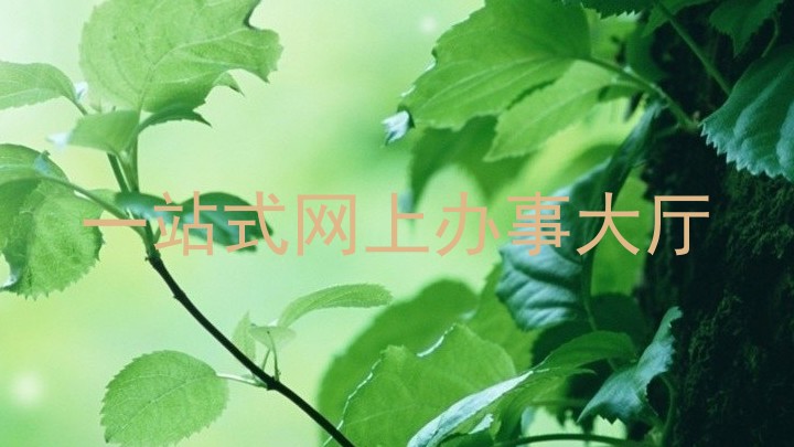 一站式网上办事大厅