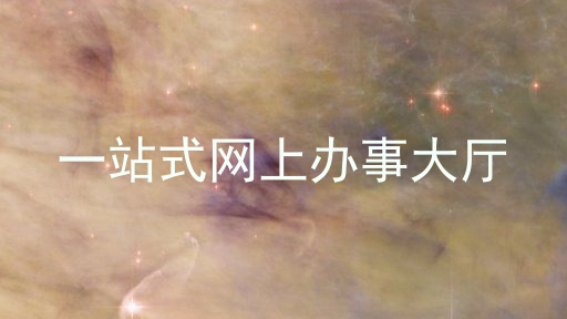 一站式网上办事大厅