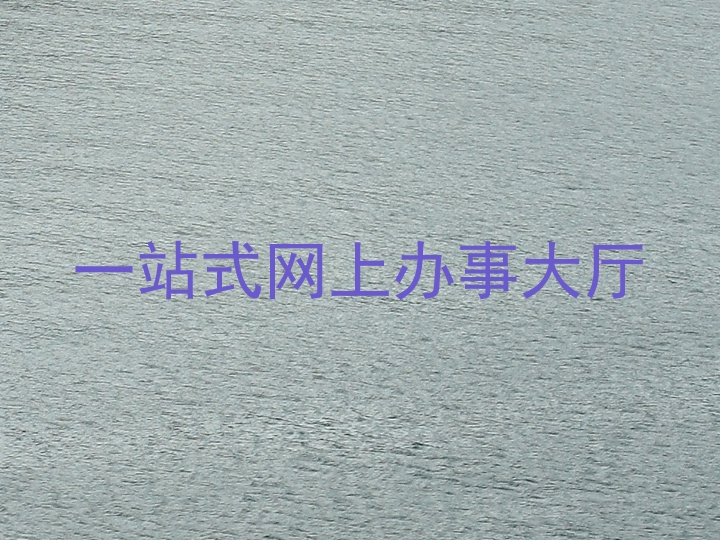 一站式网上办事大厅