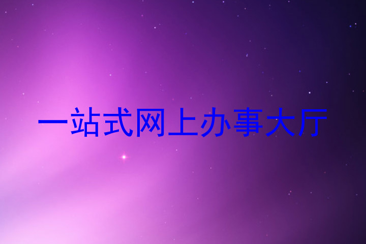 一站式网上办事大厅