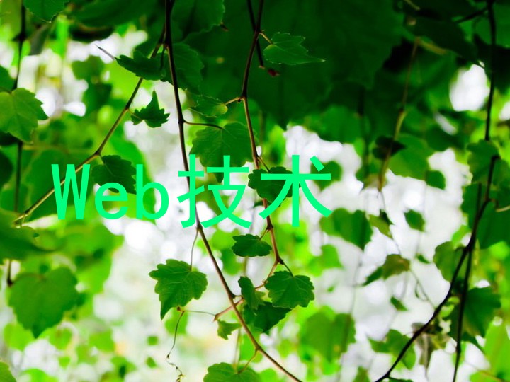 Web技术