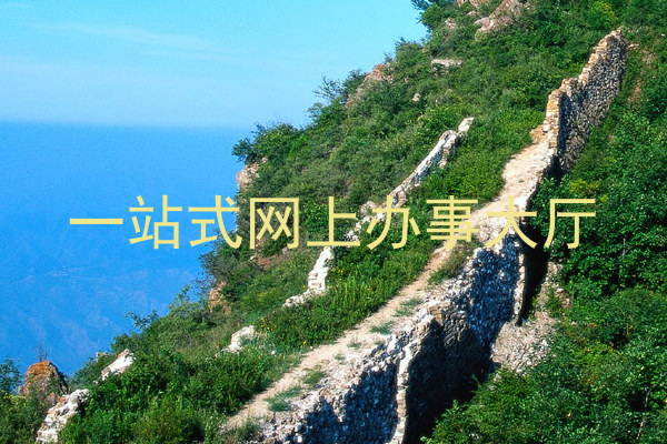 一站式网上办事大厅