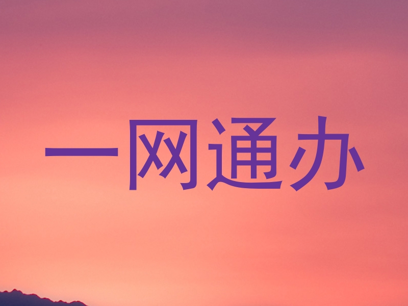 一网通办