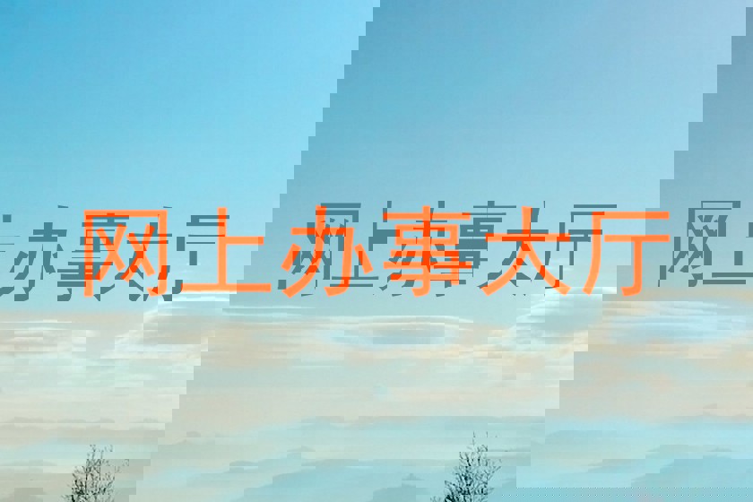 网上办事大厅