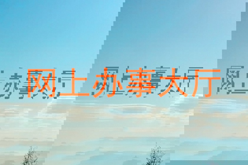 网上办事大厅