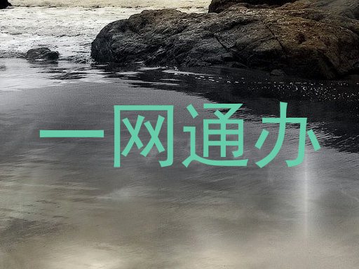 一网通办