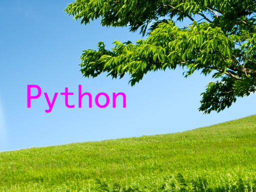 Python