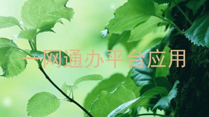 一网通办平台应用