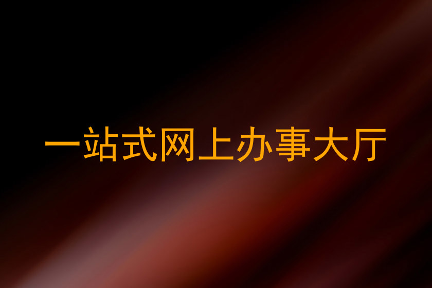 一站式网上办事大厅