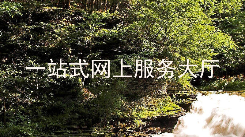 一站式网上服务大厅