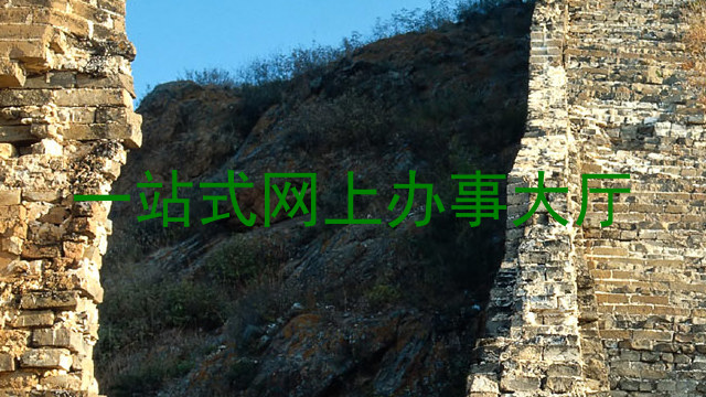 一站式网上办事大厅