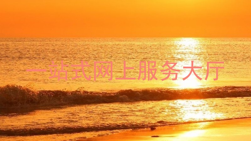 一站式网上服务大厅