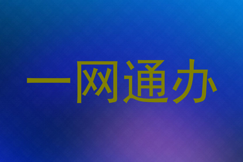 一网通办