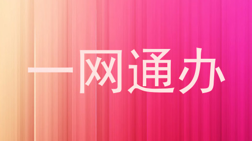 一网通办