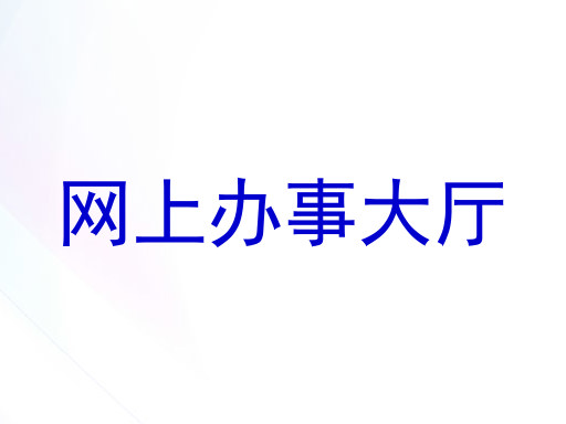 网上办事大厅