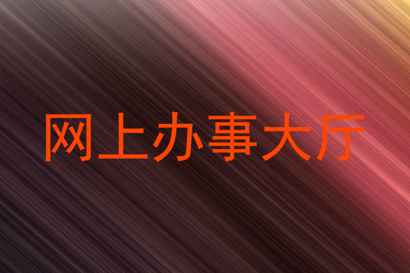 网上办事大厅
