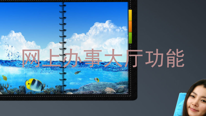 网上办事大厅功能