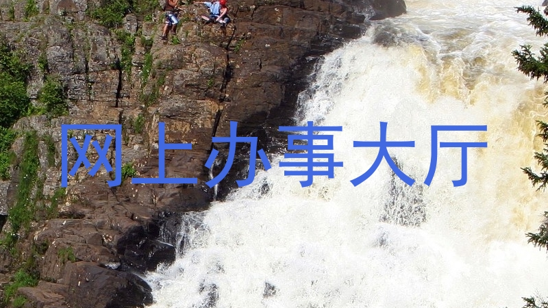 网上办事大厅