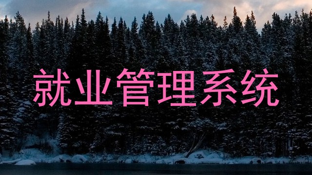 就业管理系统