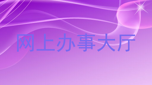 网上办事大厅