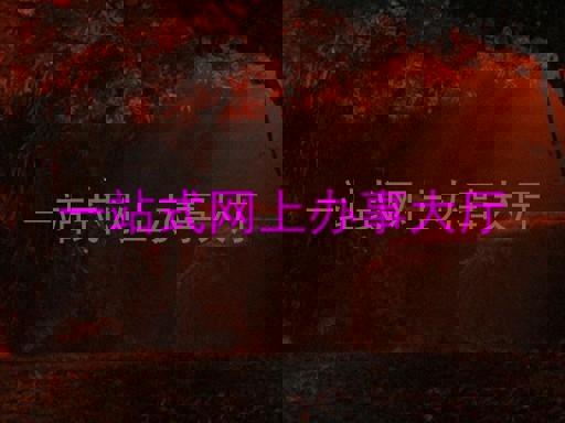 一站式网上办事大厅