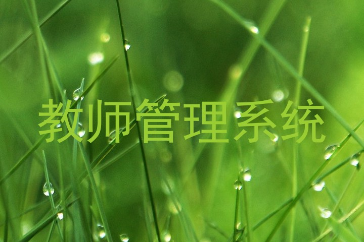 教师管理系统