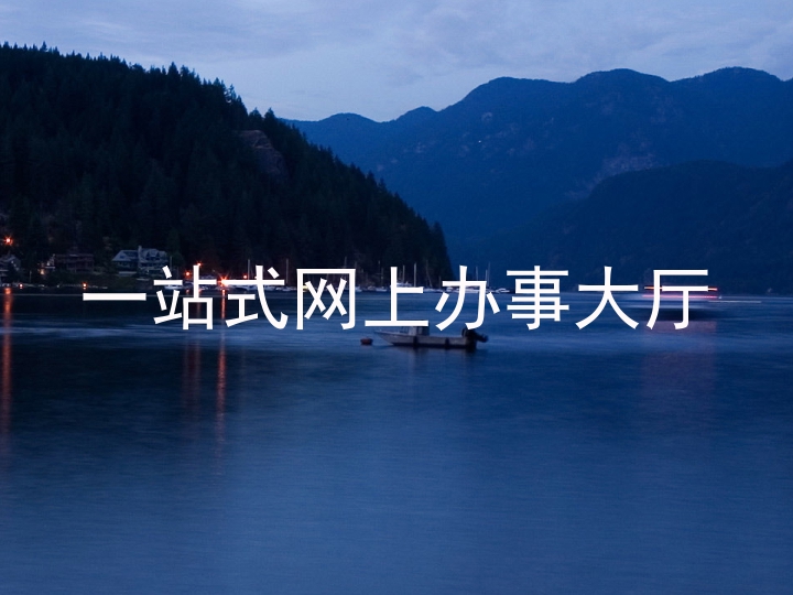 一站式网上办事大厅