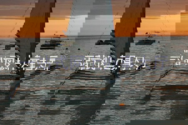 一站式网上办事大厅