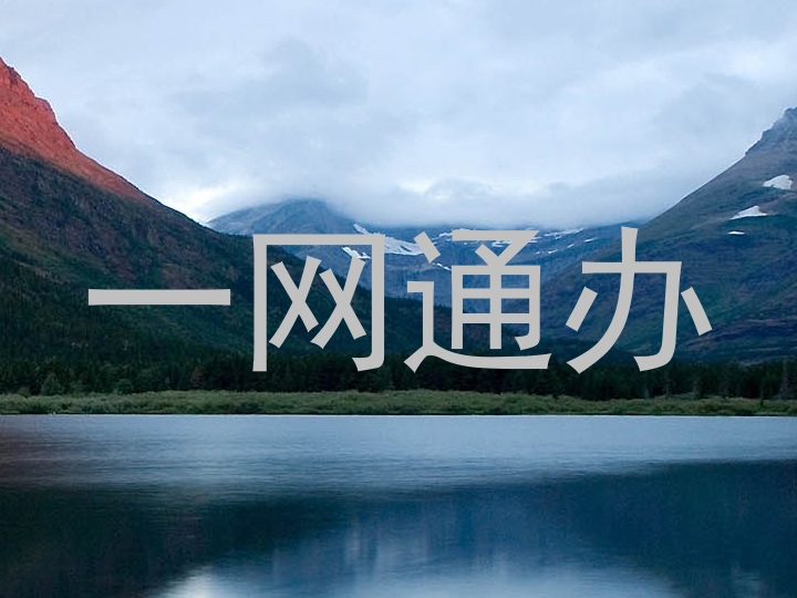 一网通办
