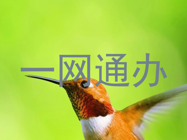 一网通办