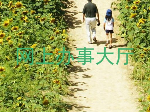 网上办事大厅