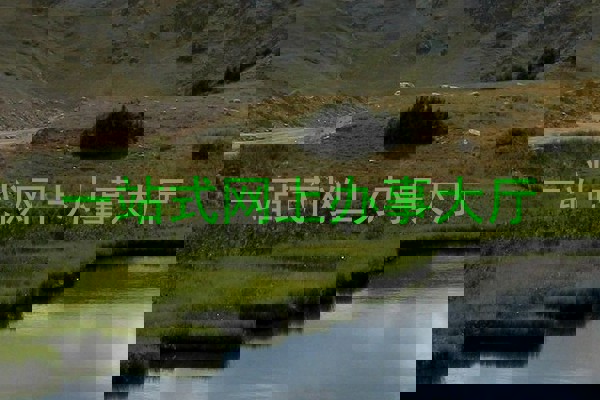 一站式网上办事大厅