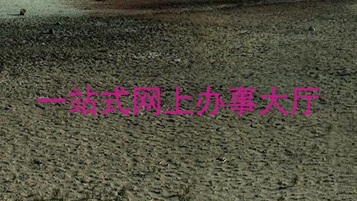 一站式网上办事大厅