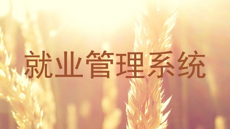 就业管理系统