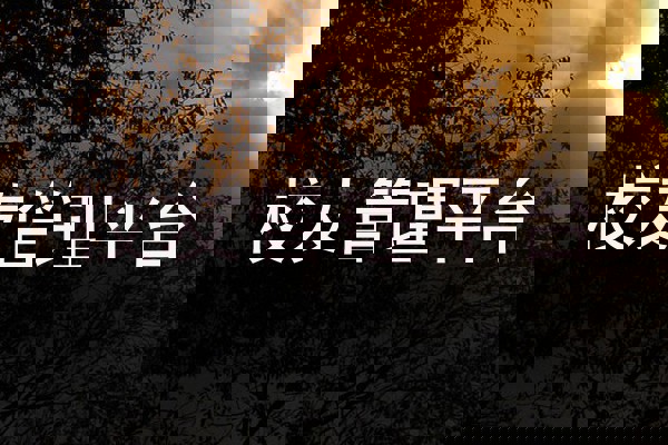 校友管理平台