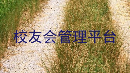 校友会管理平台