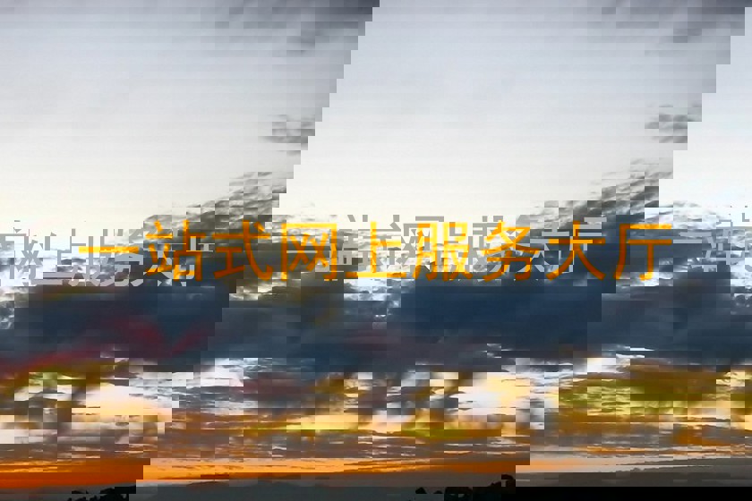 一站式网上服务大厅