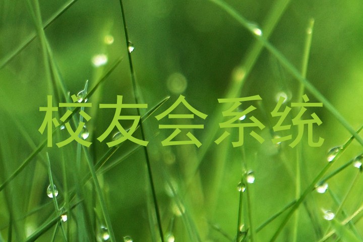校友会系统