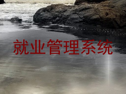 就业管理系统