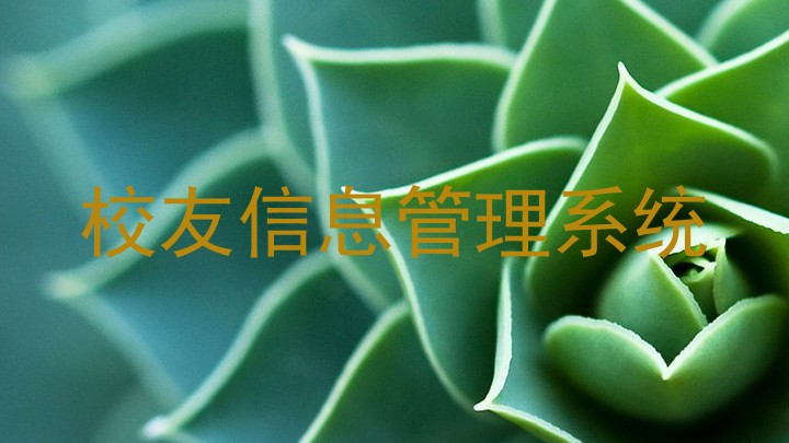 校友信息管理系统