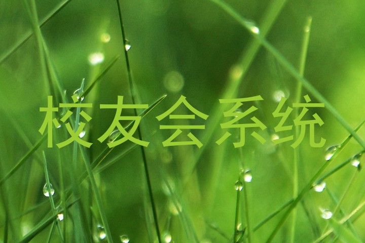 校友会系统