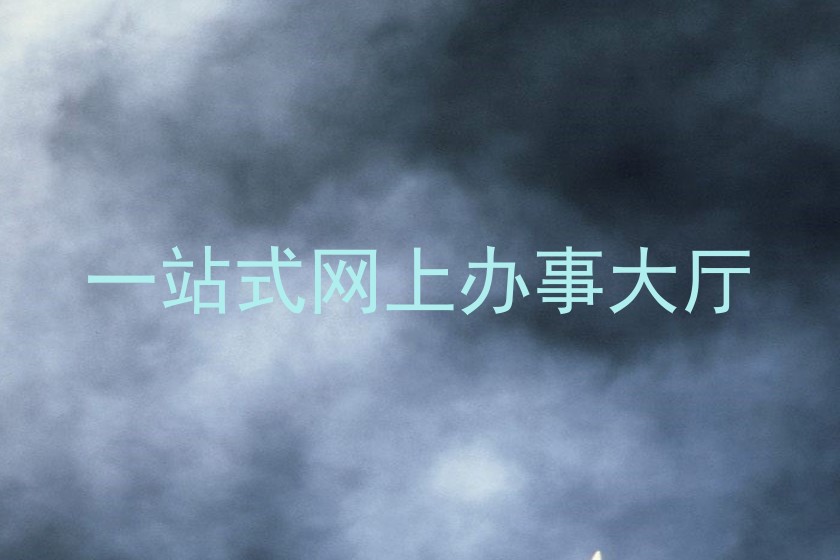 一站式网上办事大厅
